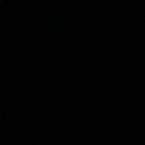 Meet your Posher, Jackson